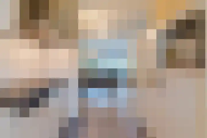 Huiserf 47 Breda thumbnail 12