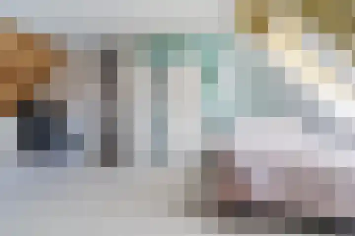 Huiserf 47 Breda thumbnail 24