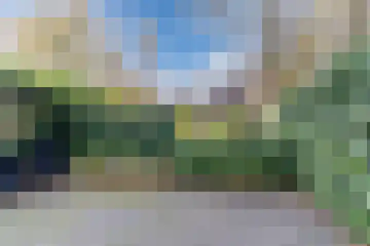 Huiserf 47 Breda thumbnail 27