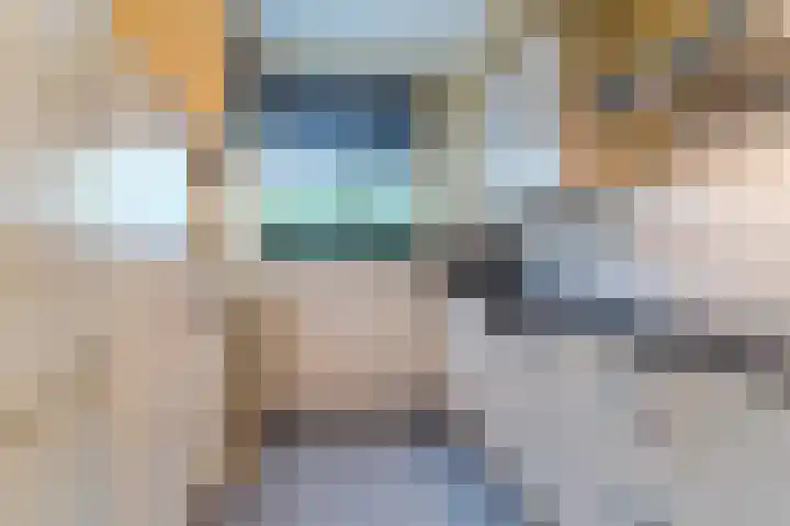 Huiserf 47 Breda thumbnail 4