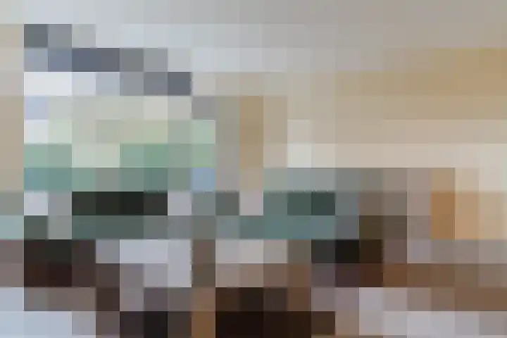 Huiserf 47 Breda thumbnail 7