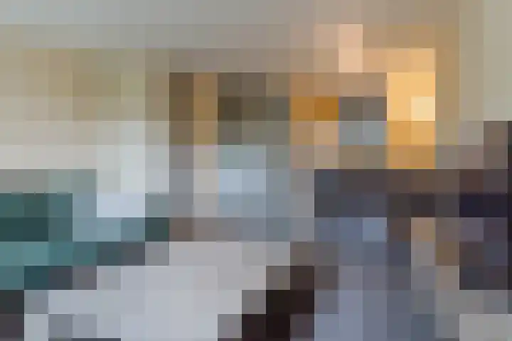 Huiserf 47 Breda thumbnail 8