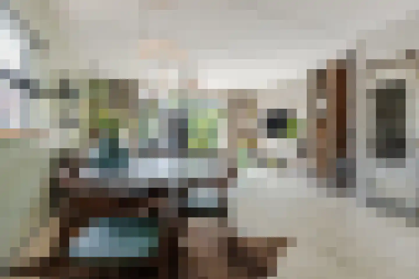Huiserf 54 Breda thumbnail 10