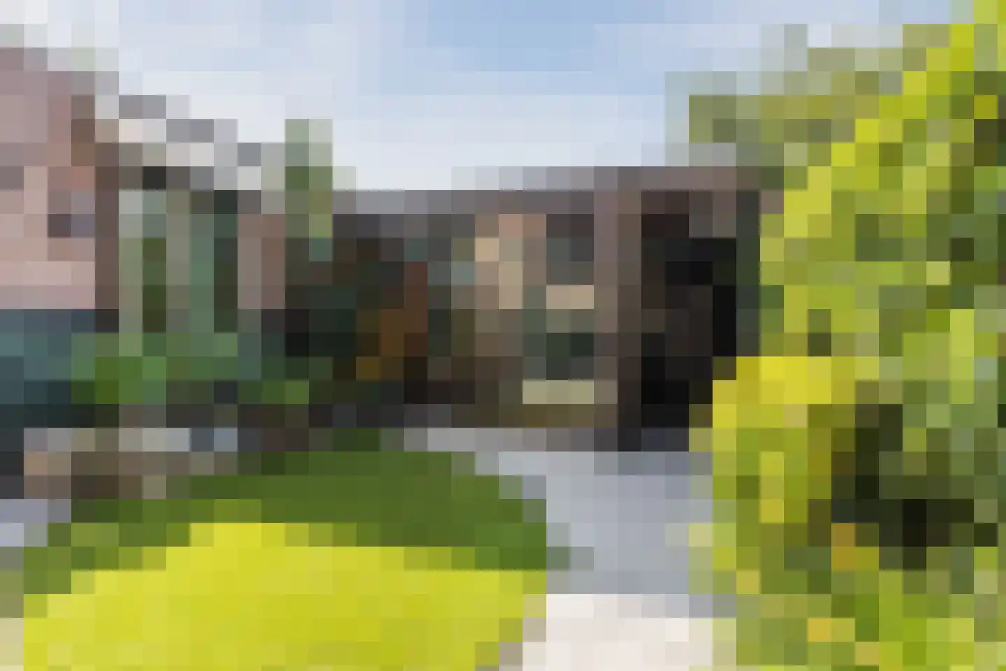 Huiserf 54 Breda thumbnail 35
