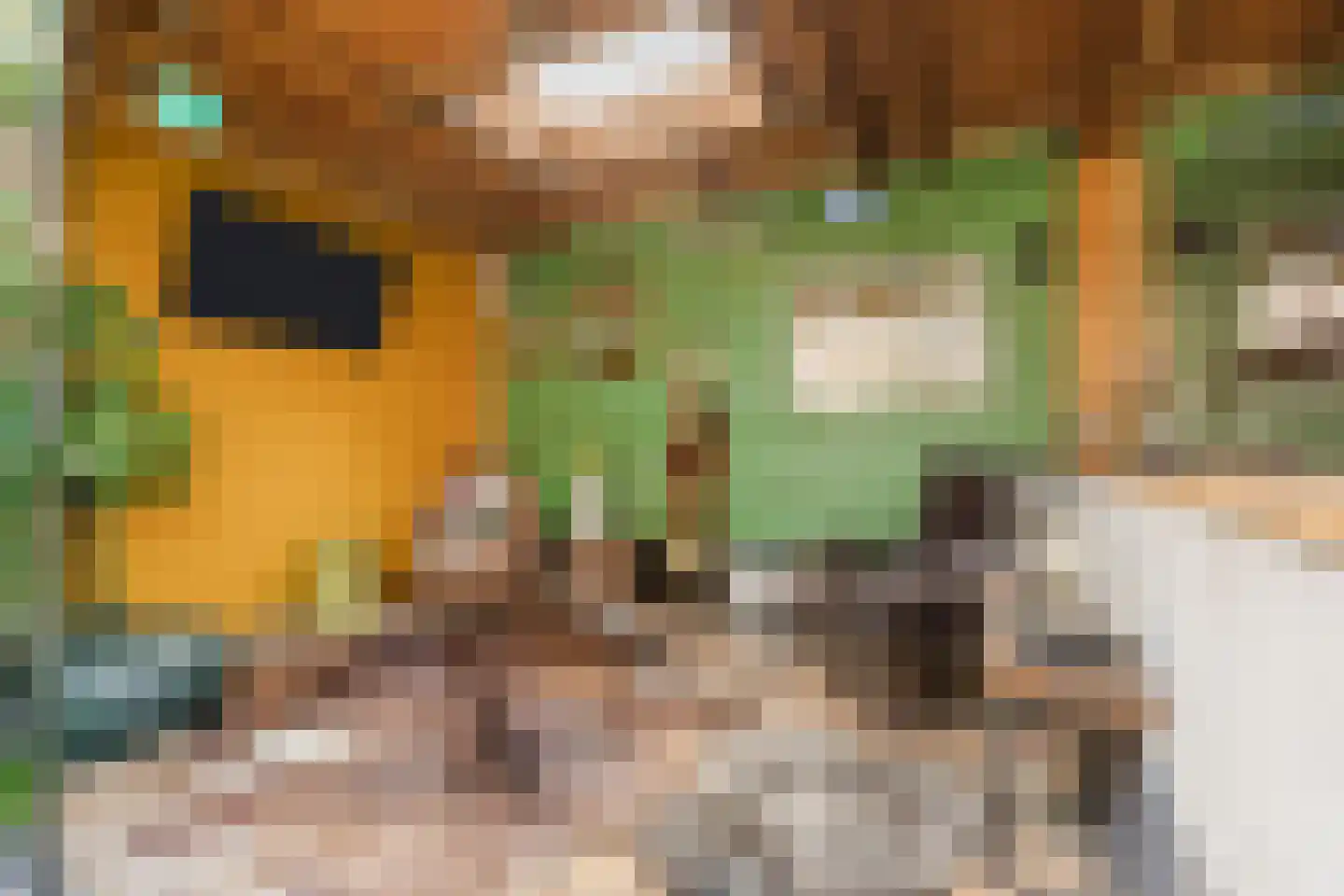 Huiserf 54 Breda thumbnail 36