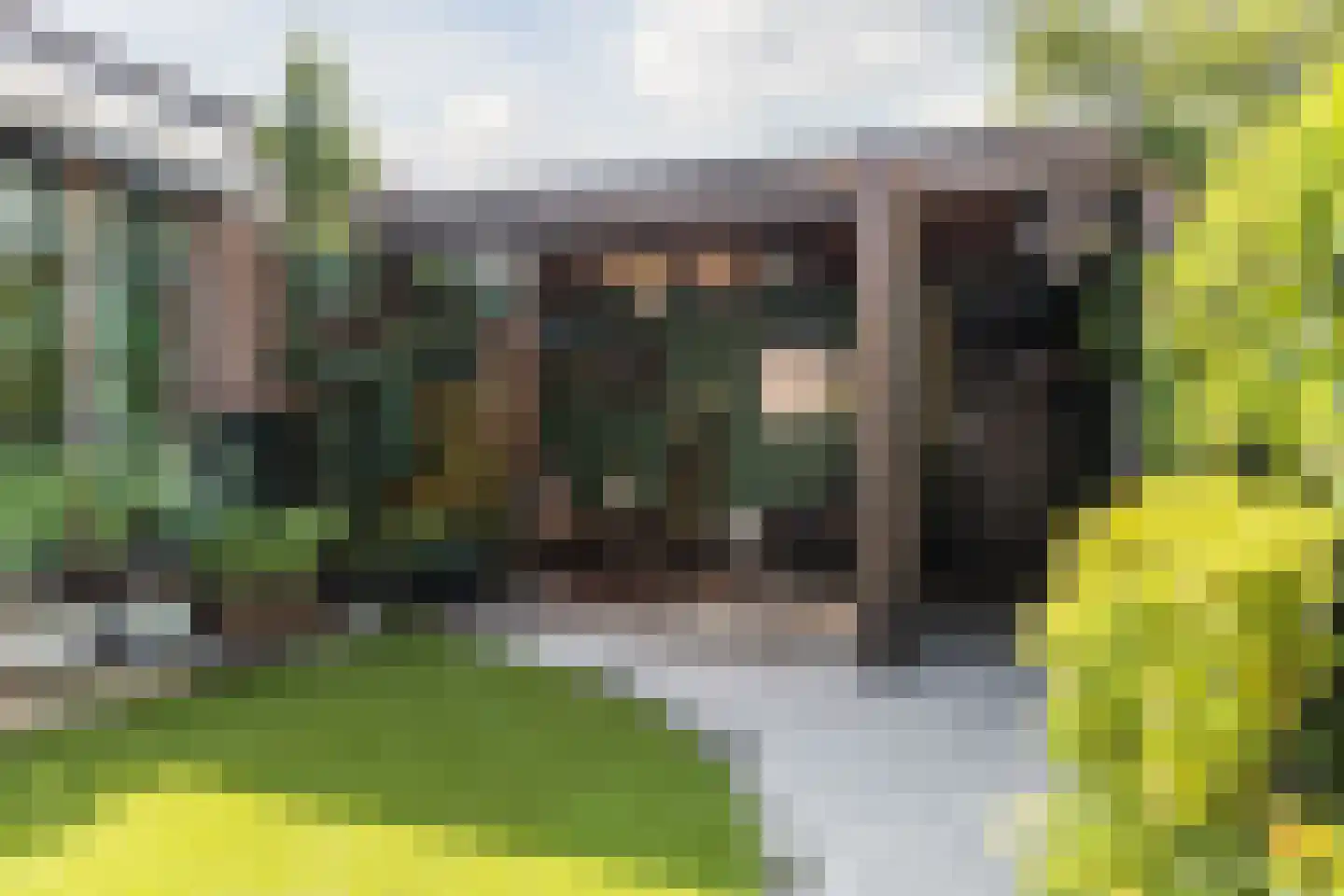 Huiserf 54 Breda thumbnail 4