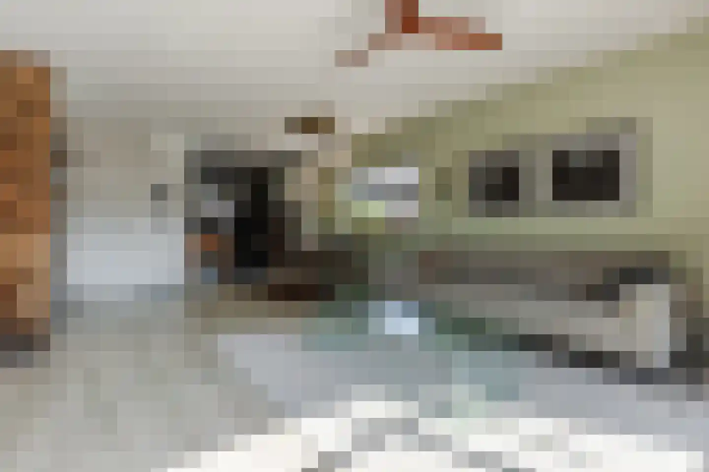 Huiserf 54 Breda thumbnail 9