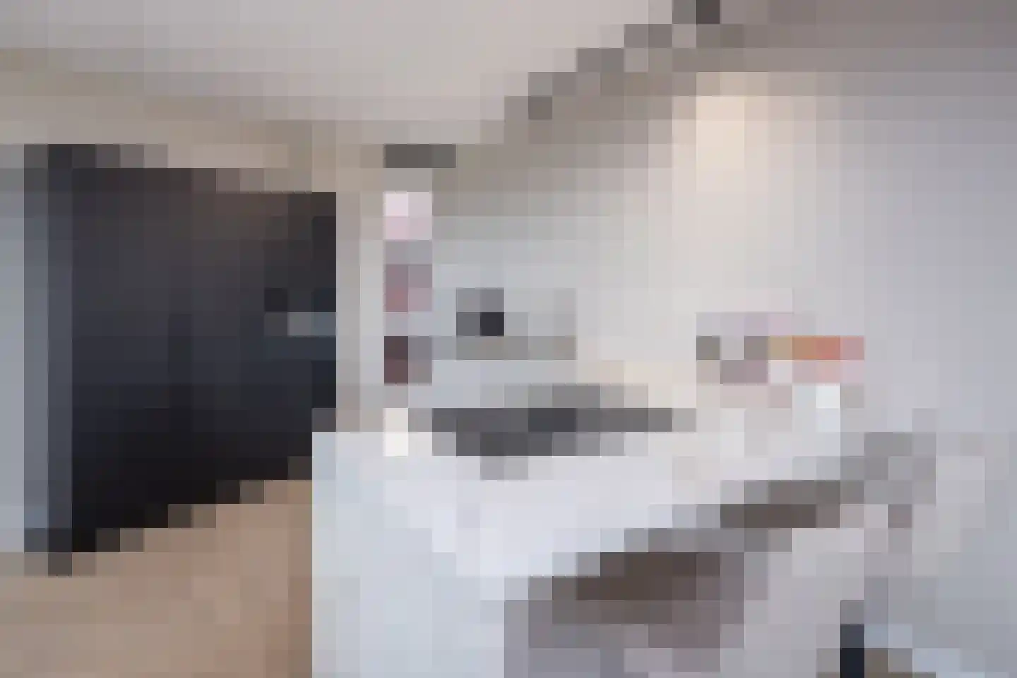 Huisgreppel 18 Hoogkarspel thumbnail 15