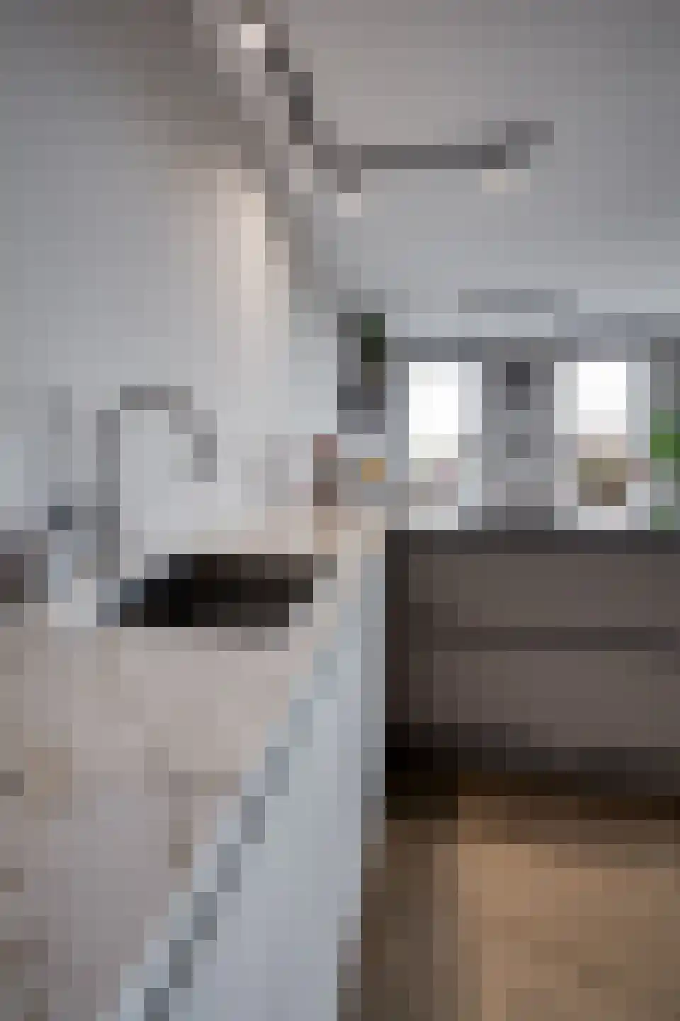 Huisgreppel 18 Hoogkarspel thumbnail 52