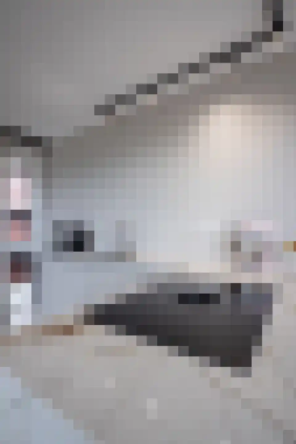 Huisgreppel 18 Hoogkarspel thumbnail 53