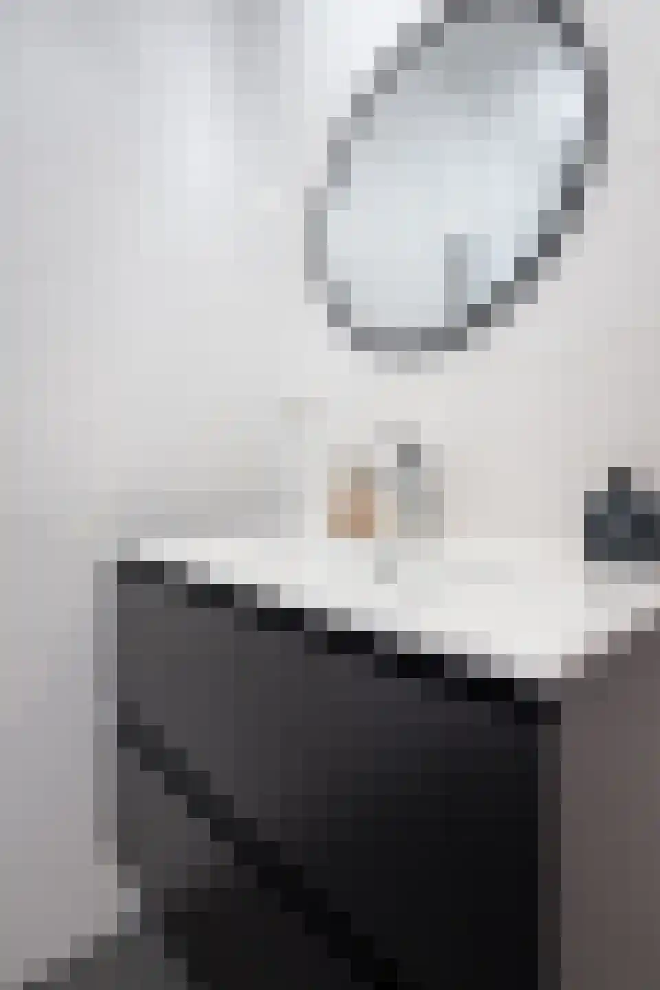 Huisgreppel 18 Hoogkarspel thumbnail 55