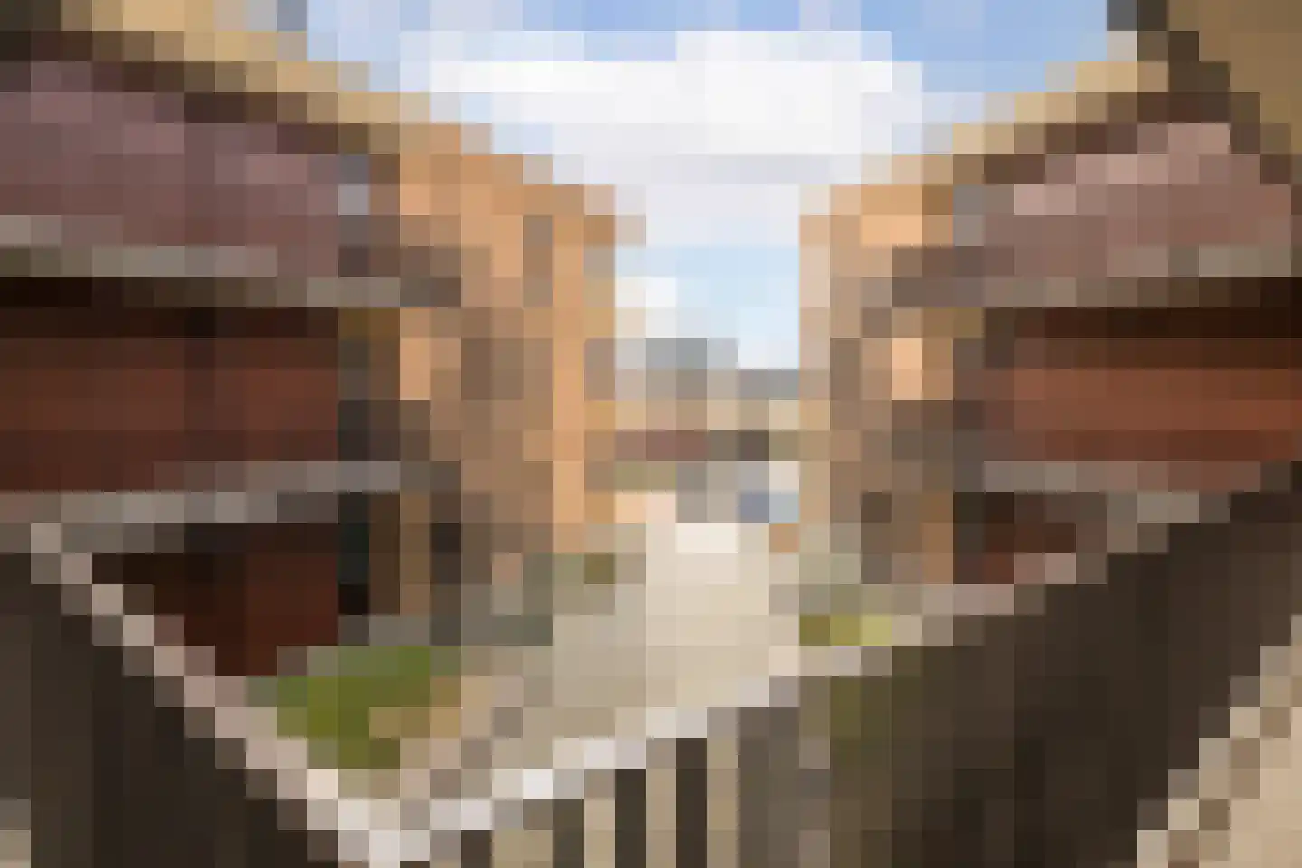 Huisgreppel 18 Hoogkarspel thumbnail 8