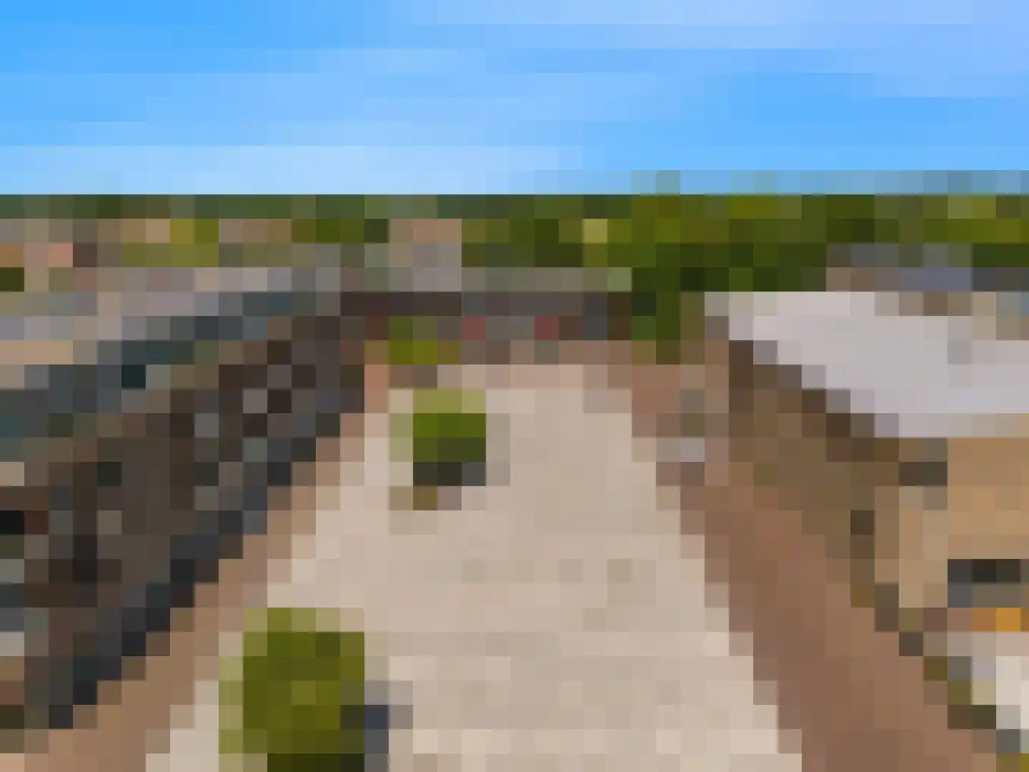 Huisgreppel 6 Hoogkarspel thumbnail 39