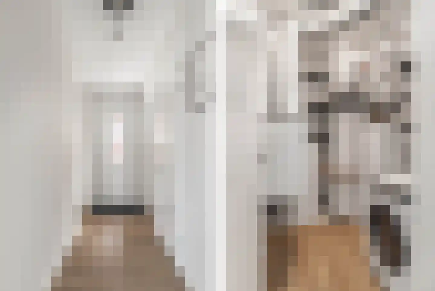 Huisgreppel 6 Hoogkarspel thumbnail 8