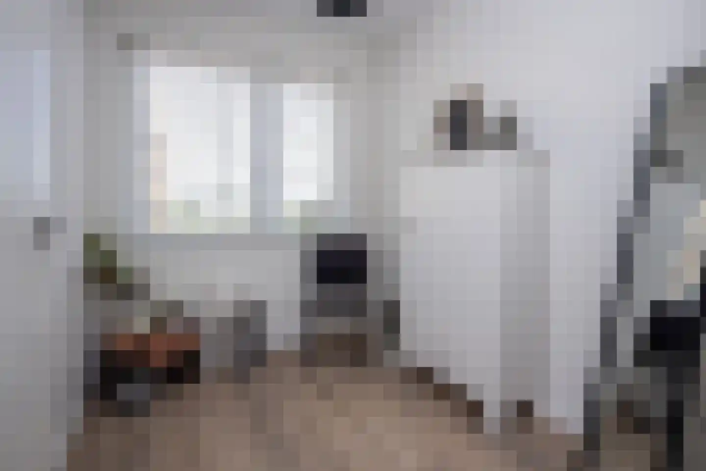 Huisgreppel 9 Hoogkarspel thumbnail 23