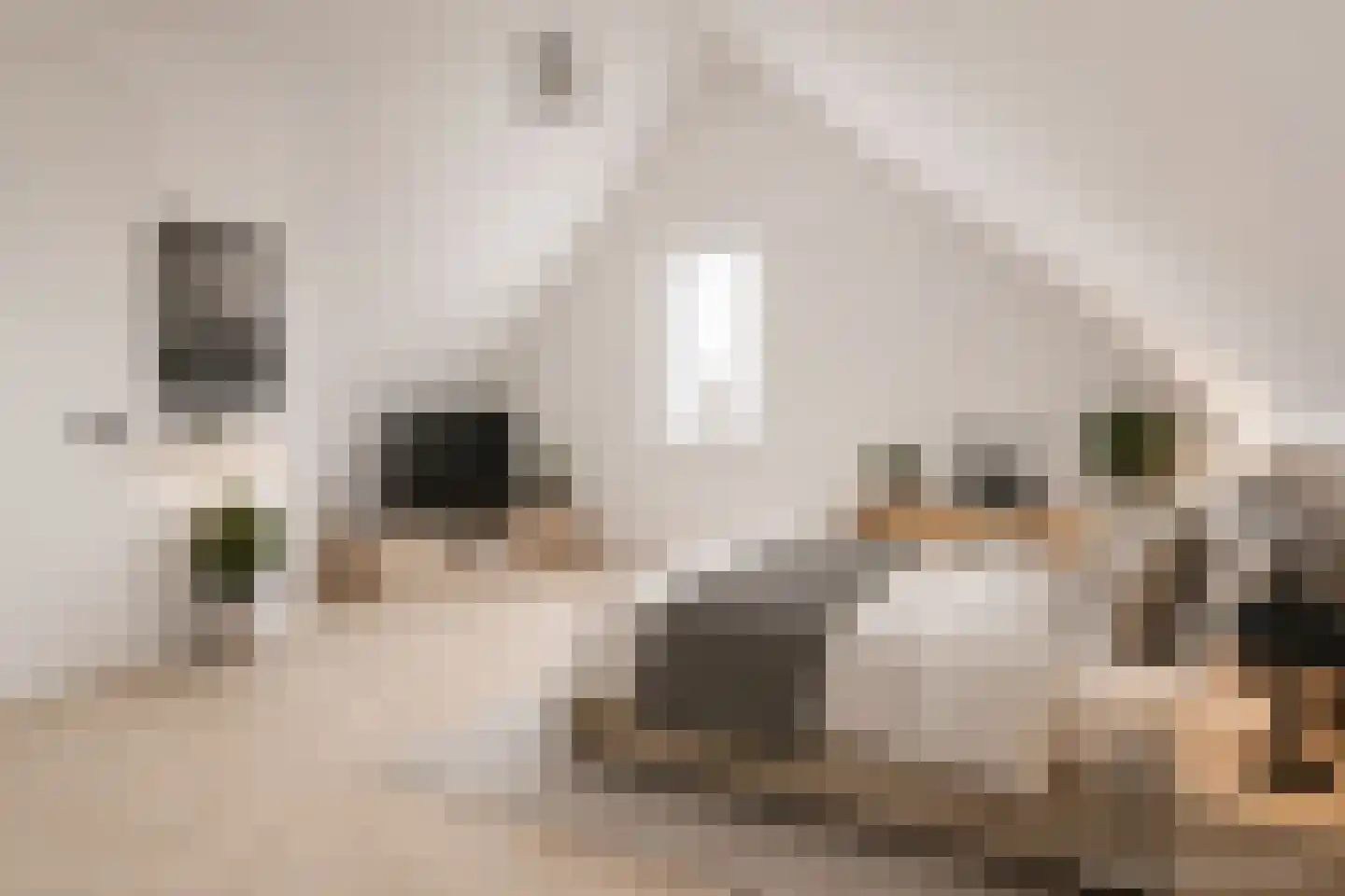 Huisgreppel 9 Hoogkarspel thumbnail 27