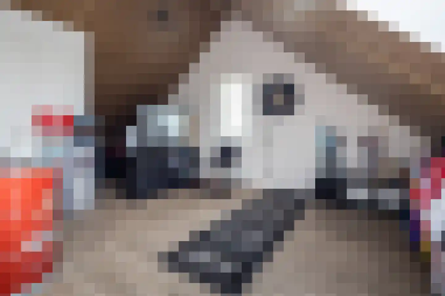 Huisgreppel 9 Hoogkarspel thumbnail 28