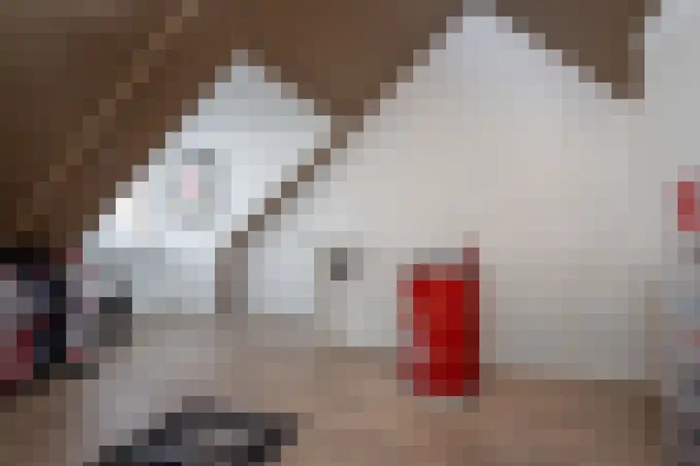 Huisgreppel 9 Hoogkarspel thumbnail 29
