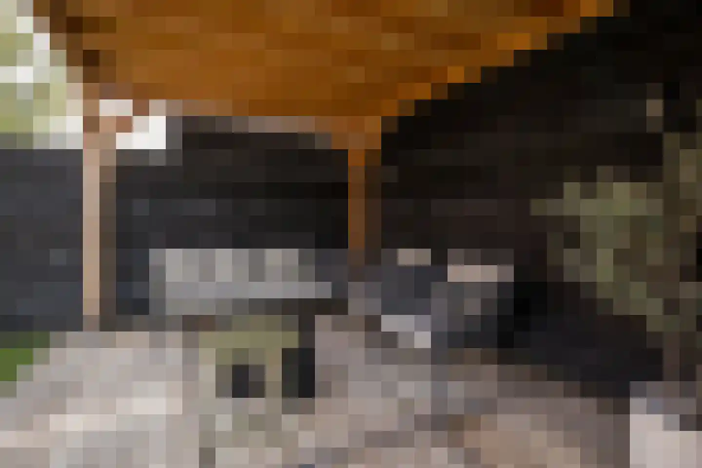 Huisgreppel 9 Hoogkarspel thumbnail 34