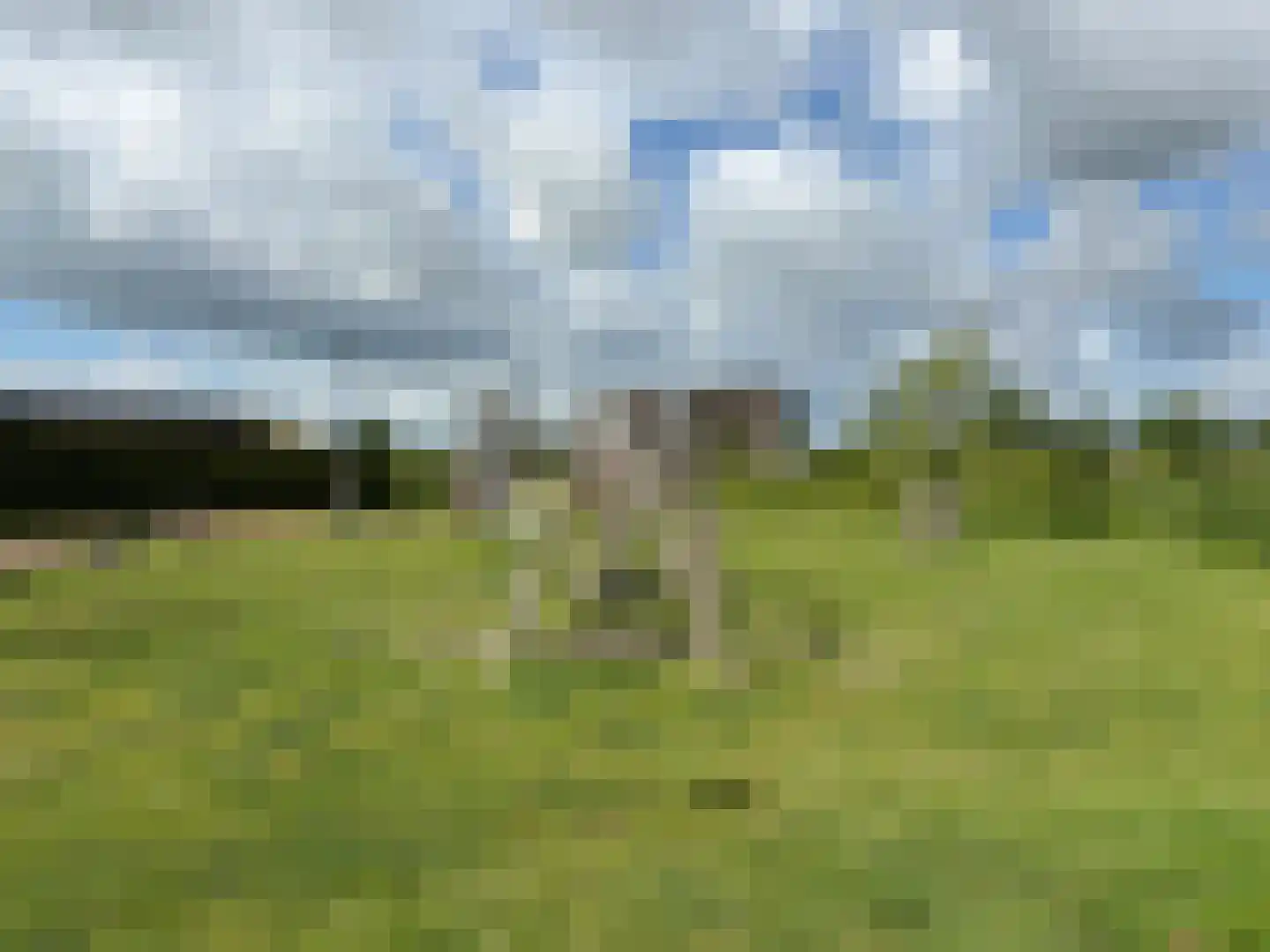Huisgreppel 9 Hoogkarspel thumbnail 43