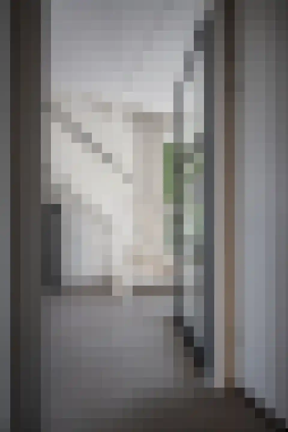 Huisgreppel 9 Hoogkarspel thumbnail 49