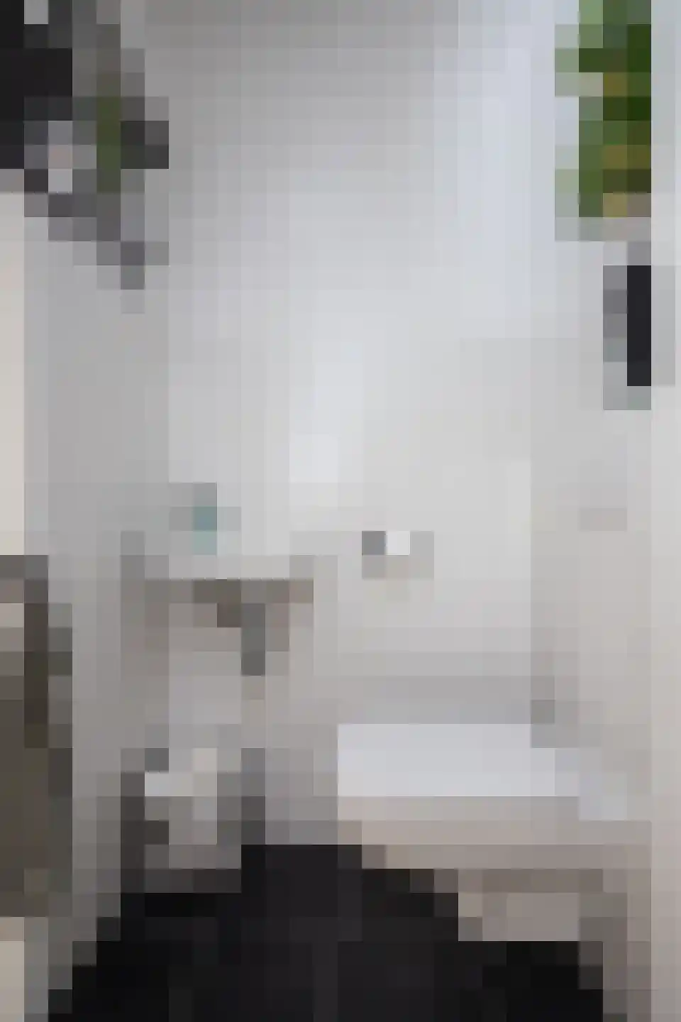 Huisgreppel 9 Hoogkarspel thumbnail 50