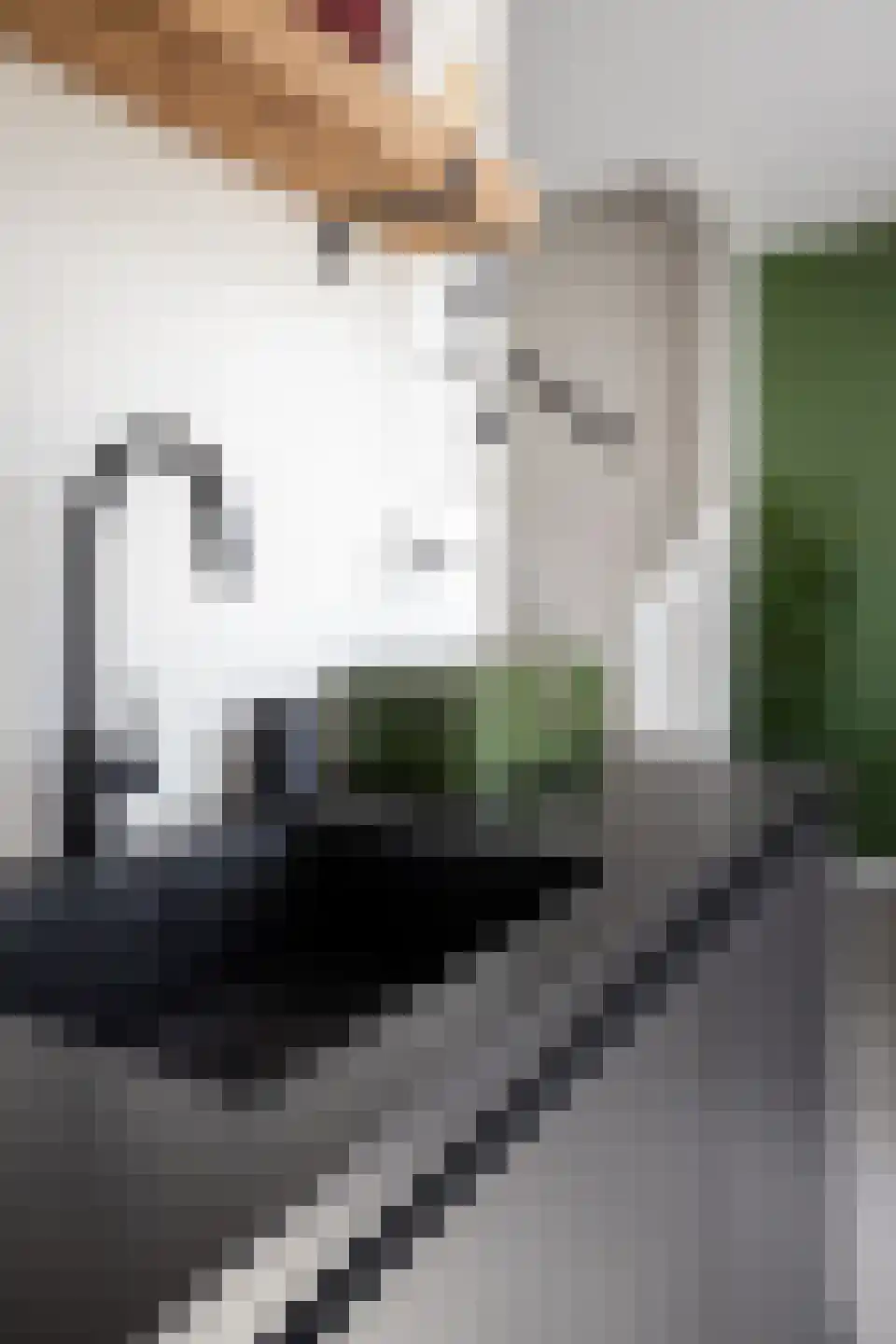 Huisgreppel 9 Hoogkarspel thumbnail 52