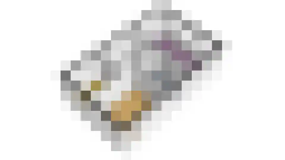 Huisgreppel 9 Hoogkarspel thumbnail 59