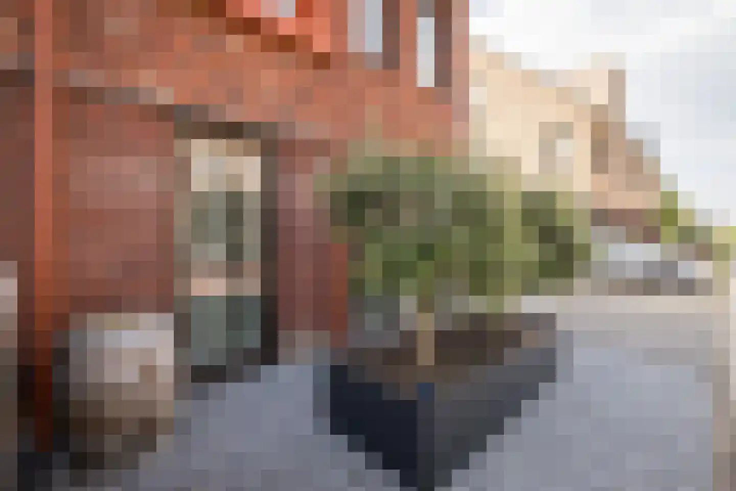 Huisgreppel 9 Hoogkarspel thumbnail 6