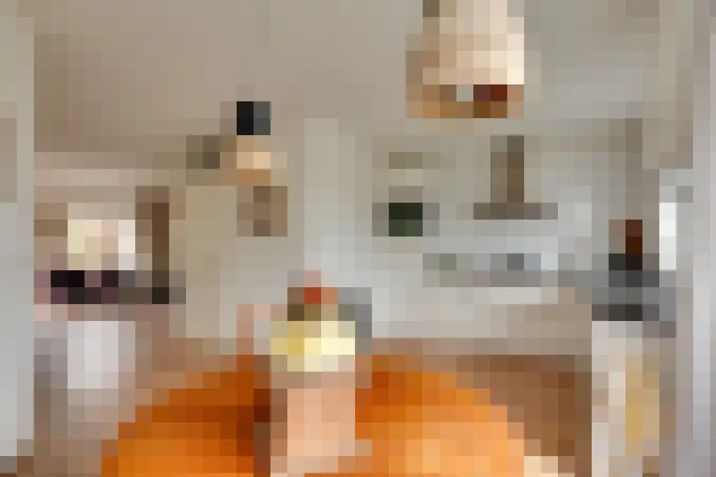 Huisingehof 33 Assen thumbnail 10