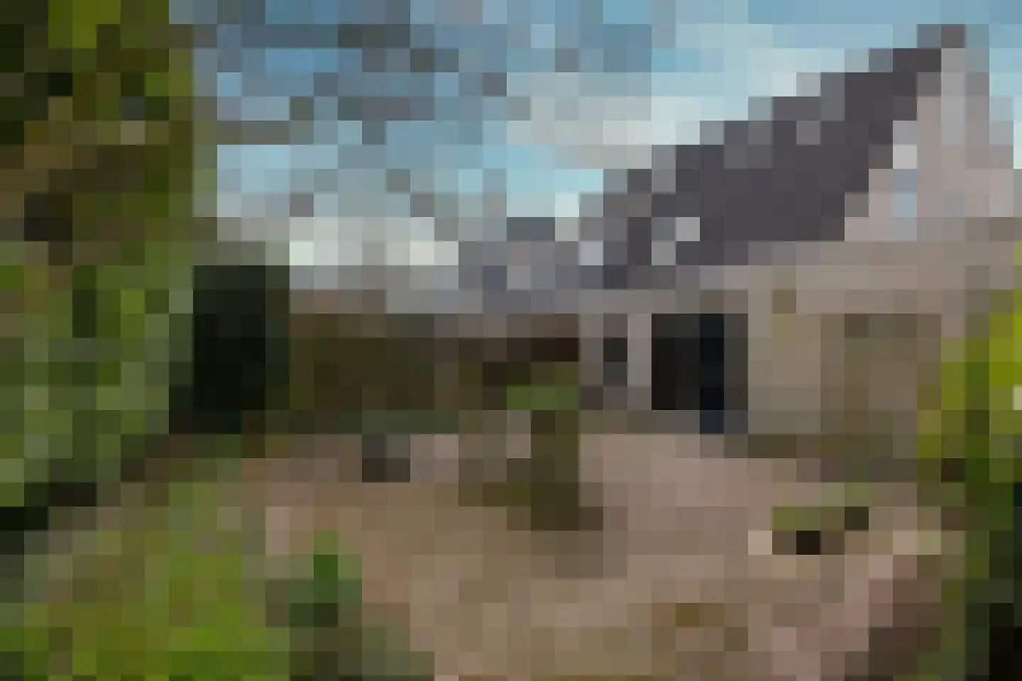 Huisingehof 33 Assen thumbnail 32