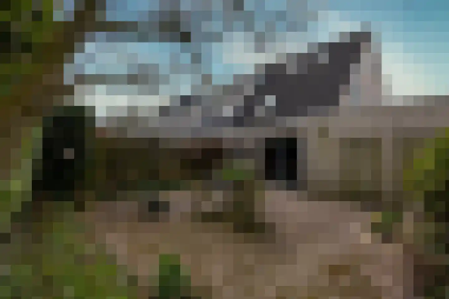 Huisingehof 33 Assen thumbnail 33
