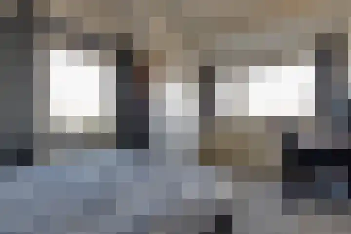 Huisingehof 37 Assen thumbnail 22