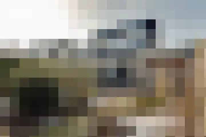 Huisingehof 37 Assen thumbnail 24
