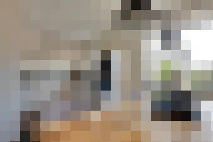 Huisingehof 37 Assen thumbnail 7