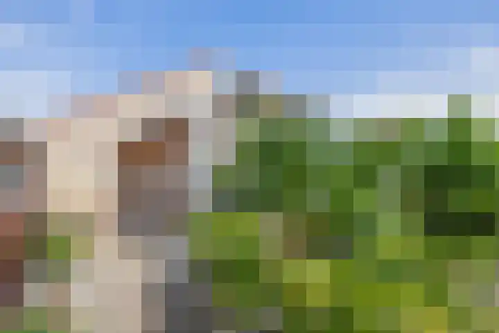 Huisinghelaan 13 Onstwedde thumbnail 36