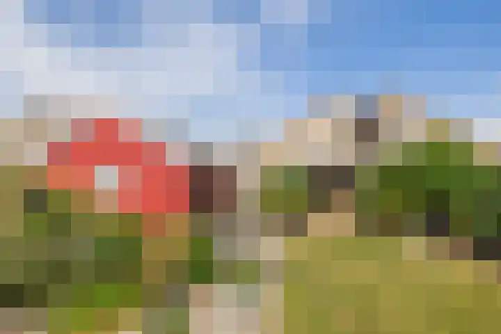 Huisinghelaan 13 Onstwedde thumbnail 37