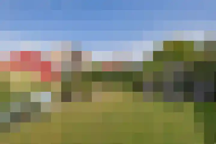 Huisinghelaan 13 Onstwedde thumbnail 38