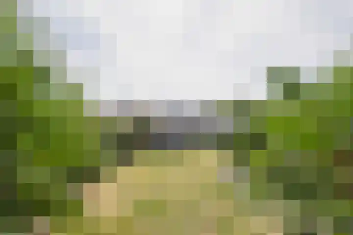 Huisinghelaan 13 Onstwedde thumbnail 41