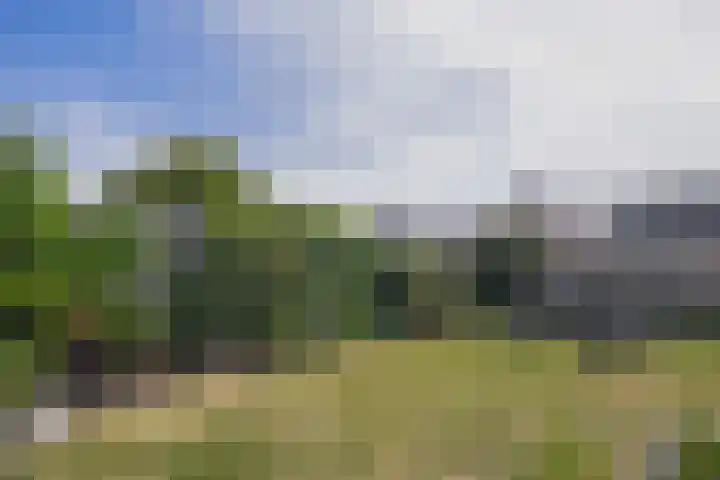 Huisinghelaan 13 Onstwedde thumbnail 42
