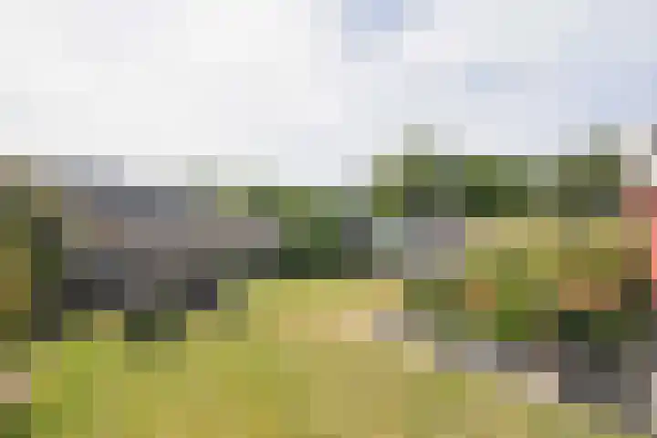 Huisinghelaan 13 Onstwedde thumbnail 43
