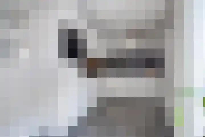 Huisinghelaan 35 Onstwedde thumbnail 13