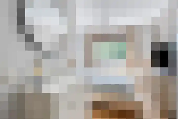 Huisinghelaan 35 Onstwedde thumbnail 22