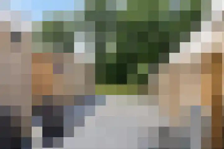 Huisinghelaan 35 Onstwedde thumbnail 33