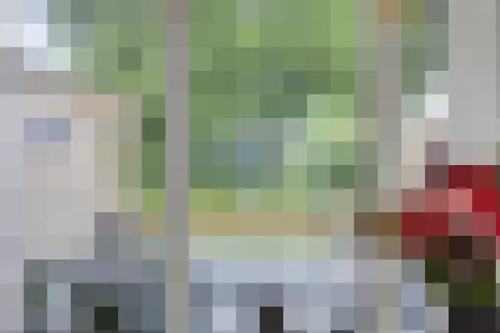 Huisinghelaan 35 Onstwedde thumbnail 34