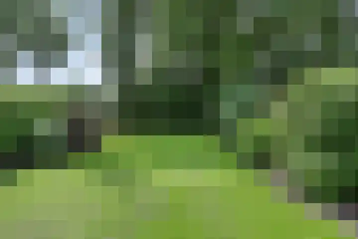 Huisinghelaan 35 Onstwedde thumbnail 37