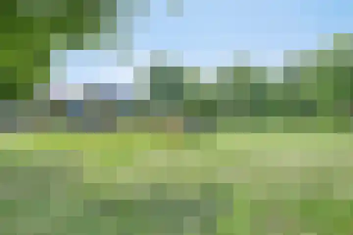 Huisinghelaan 35 Onstwedde thumbnail 50