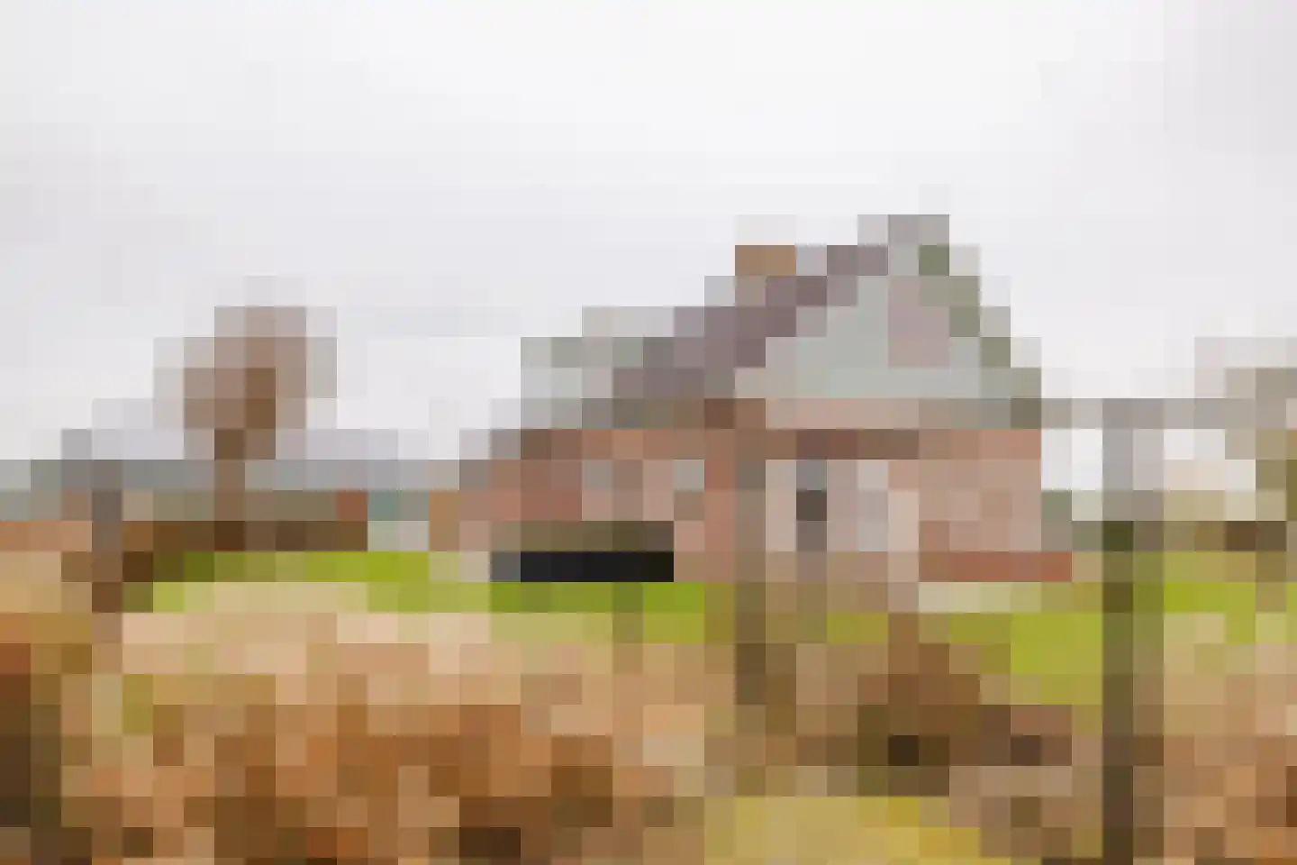 Huiskebuurtweg 18 Warmenhuizen thumbnail 18
