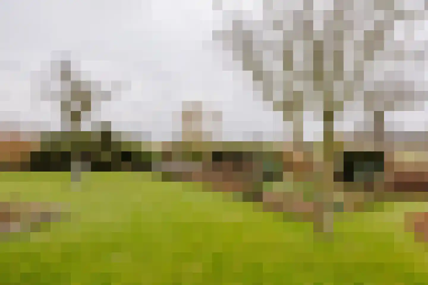 Huiskebuurtweg 18 Warmenhuizen thumbnail 19