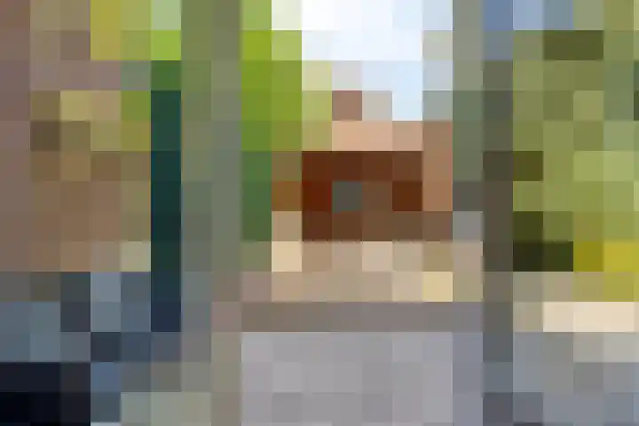Huiskenshof 11 Roermond thumbnail 15